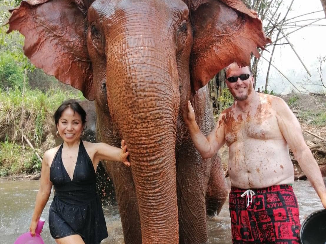 Khao Sok Elephant Experience