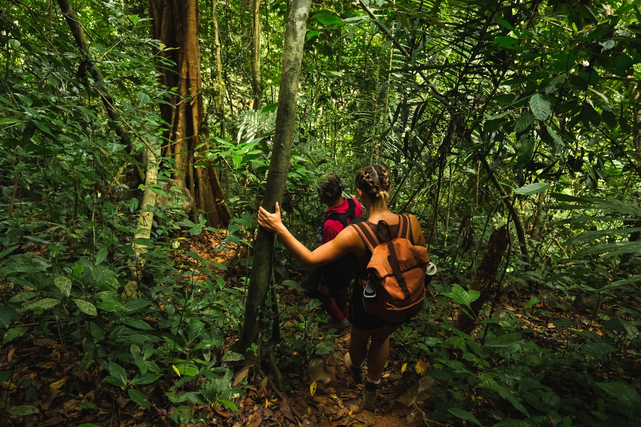 Khao Sok Overnight Jungle Trek Camping