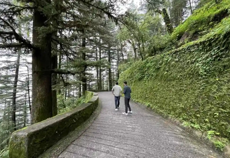 Mussoorie City Guided Tour