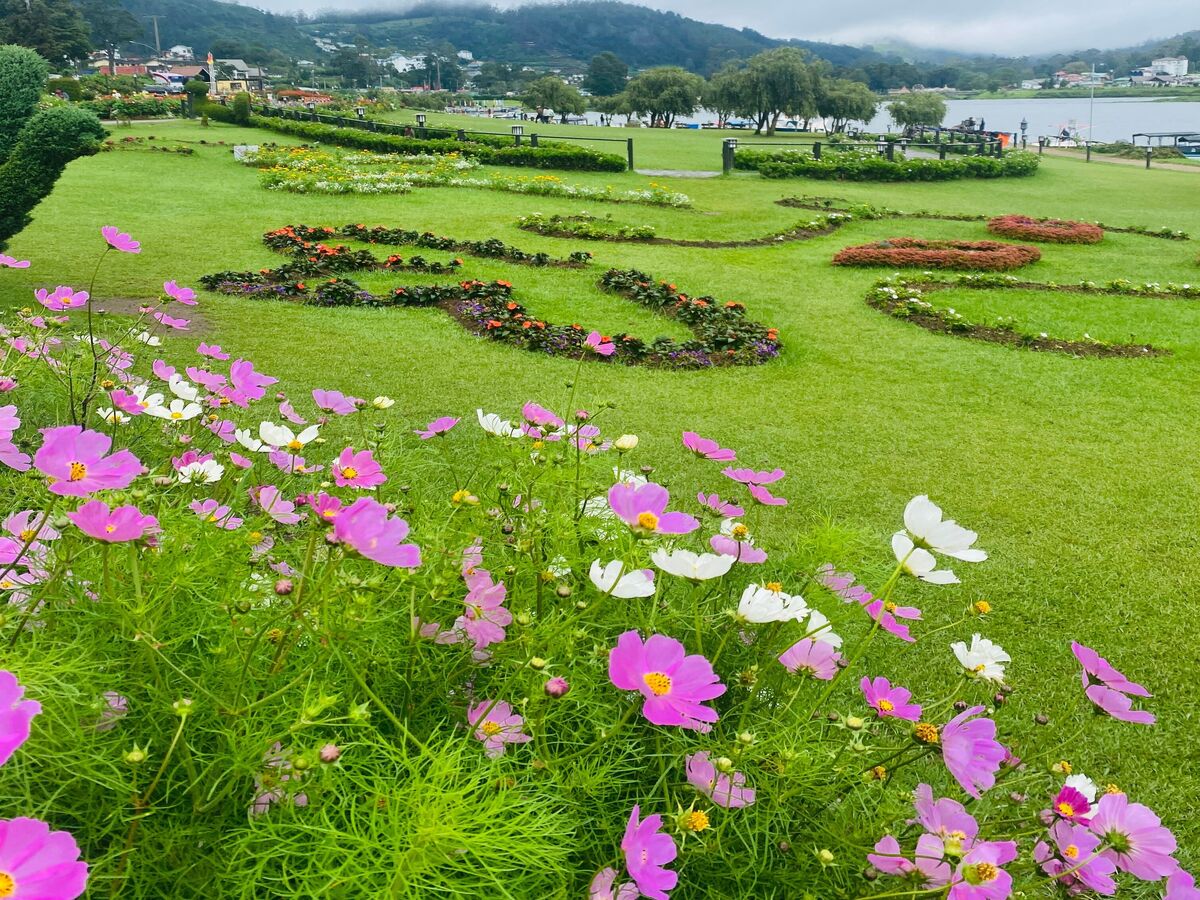 Nuwara Eliya Day Tour – Starts from Nuwara Eliya