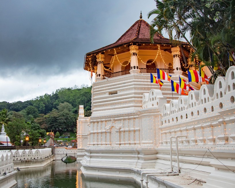 Nuwara Eliya to Kandy with Tour and Transfer