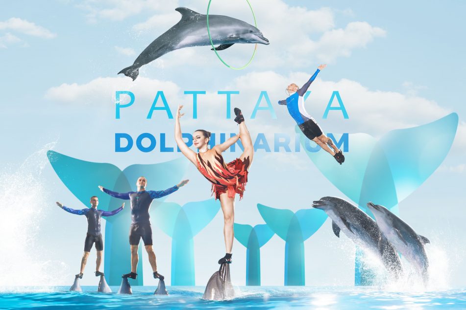 Pattaya Dolphinarium Admission Ticket