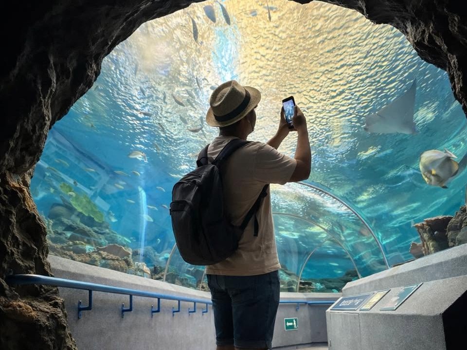 Pattaya Nong Nooch Tropical Garden With Underwater World Ticket