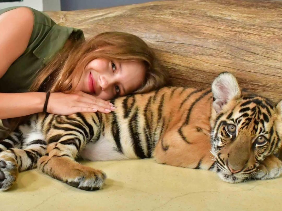 Pattaya Tiger Park Play Package