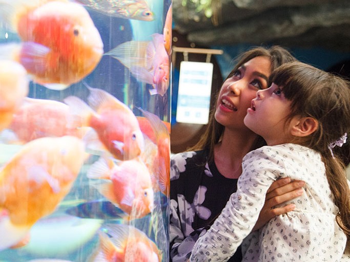 Pattaya Underwater World and Art in Paradise Combo Ticket with Transfer