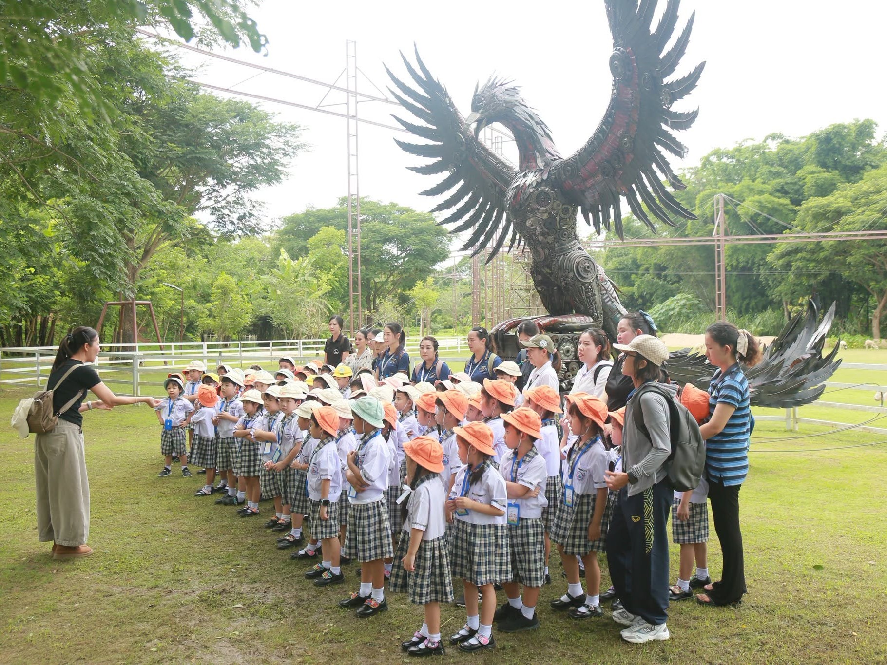 Phoenix Adventure Park Package M: 25-Platform High Rope Course, Zipline & Phoenix Mini Train