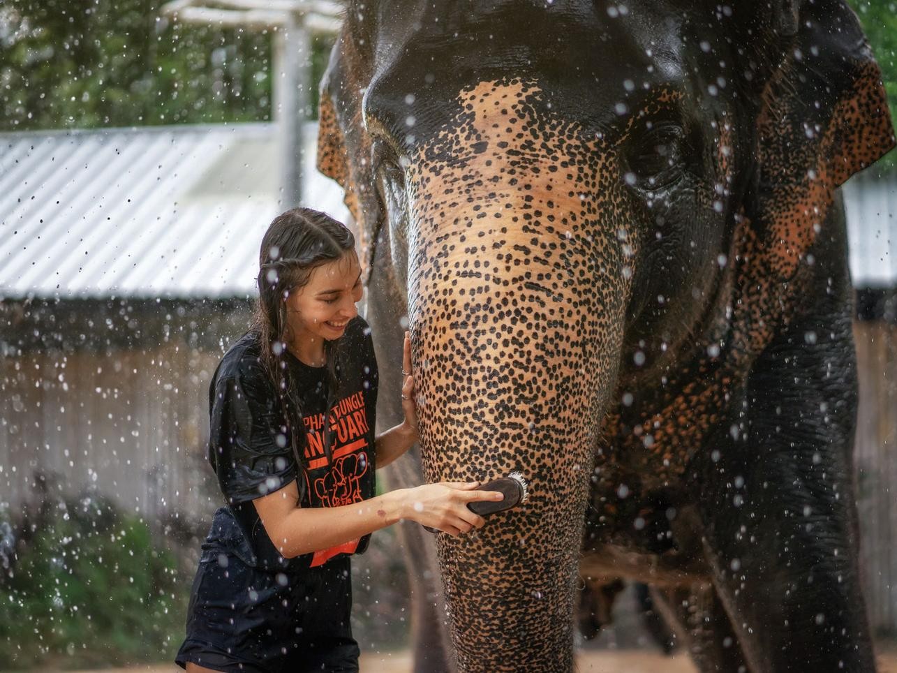 Phuket: Elephant Trekking (45 mins) & Bathing with Elephants in Jungle Pool (30 mins) Program