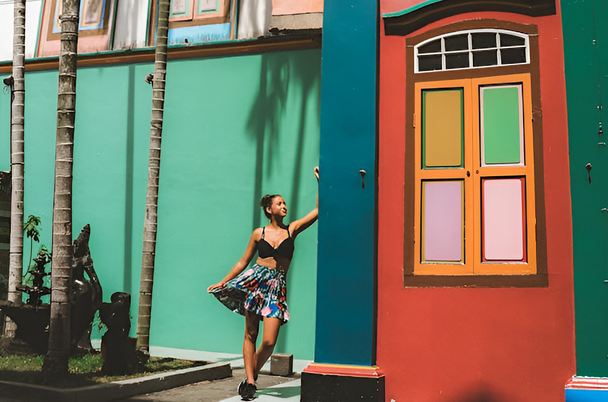 Singapore City and Cultural Tour wih Transfer and Guide