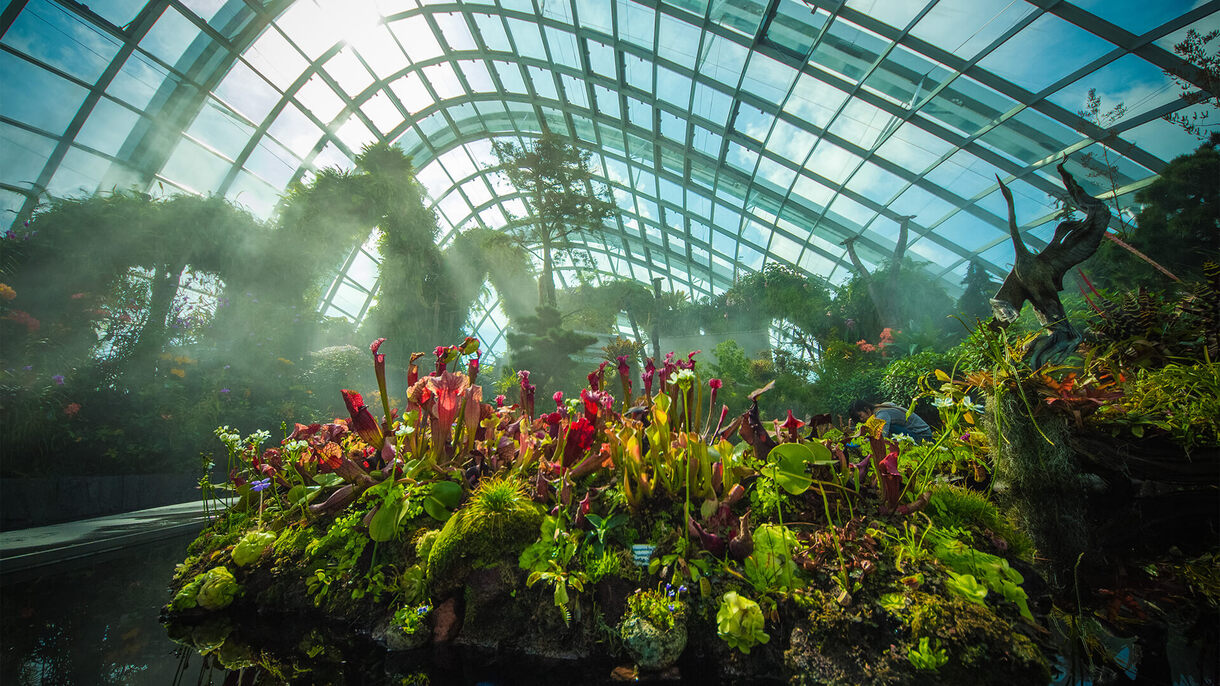 Singapore Tour: Gardens by the Bay, Flower Dome, Cloud Forest and Garden Rhapsody with optional attractions