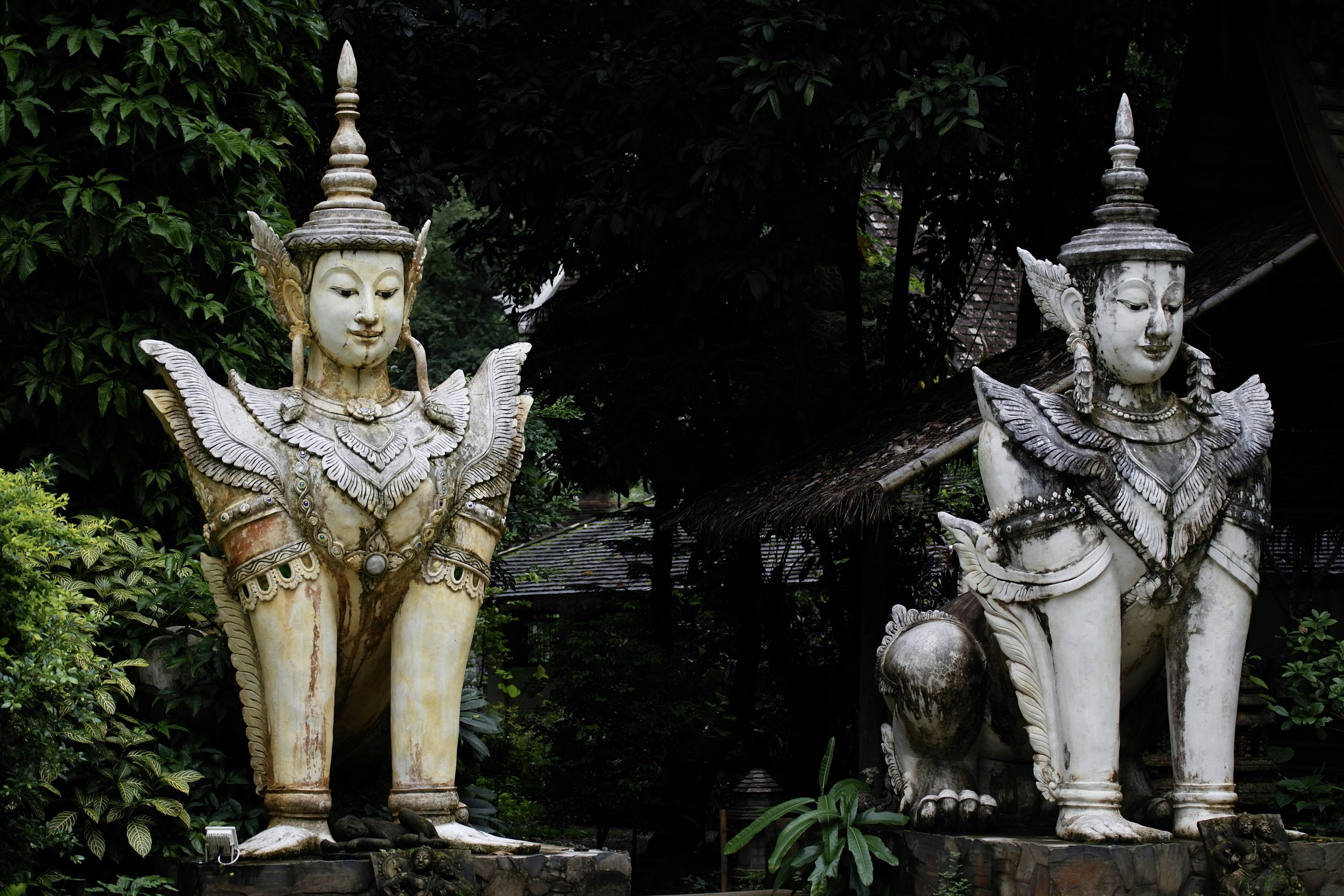 The Best Chiang Mai City Private Tour with Wat Doi Suthep, Wat Chedi Luang and Wat Pha Lat 