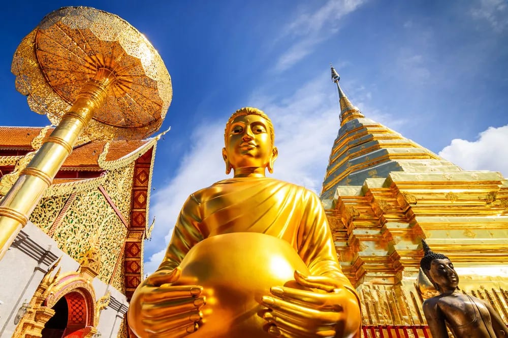 The Best Chiang Mai City Private Tour with Wat Doi Suthep, Wat Chedi Luang and Wat Pha Lat 