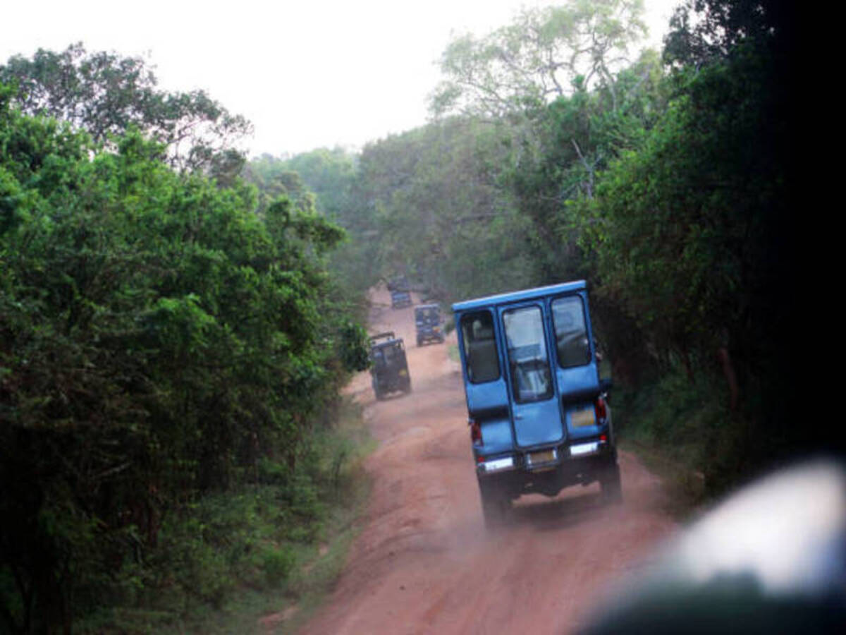 Yala National Park Day Tour from Galle Sri Lanka