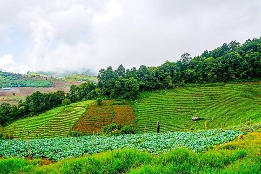 Chiang Mai Airport to Mae Rim by Van