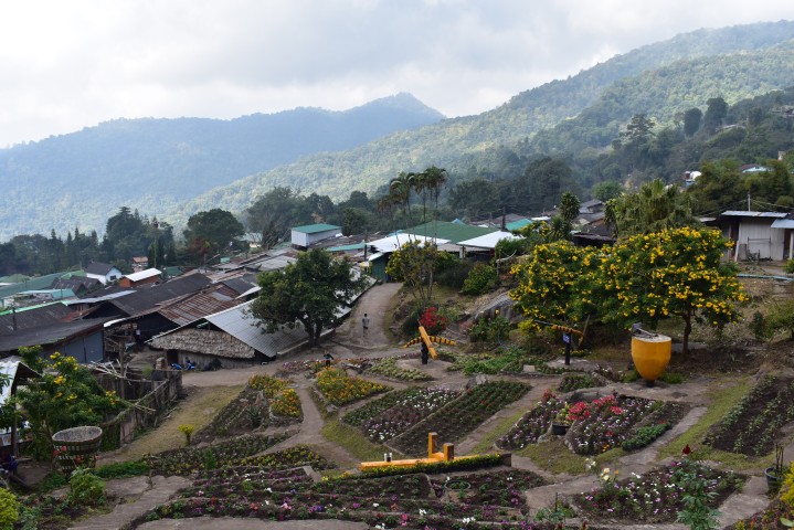 Chiang Mai Full-day Tour: Mae Sa Elephant Camp + Area + Hmong Village by VIP Van
