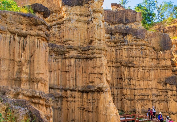 Chiang Mai Full-day Tour: Elephant Jungle Sanctuary / Mae Wang Area by an SUV