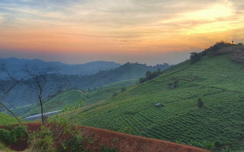 Chiang Mai Full-day Tour: Mon Jam Transfer by Standard Van
